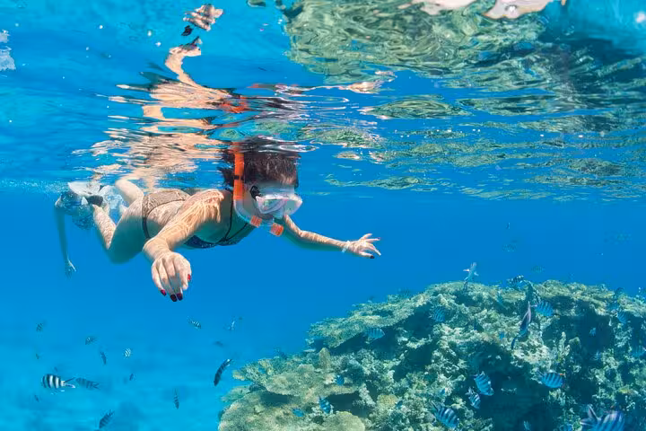 Snorkeler over coral reef at the Blue Hole Dahab on Sharm El-Sheikh jeep adventure tour in Sinai