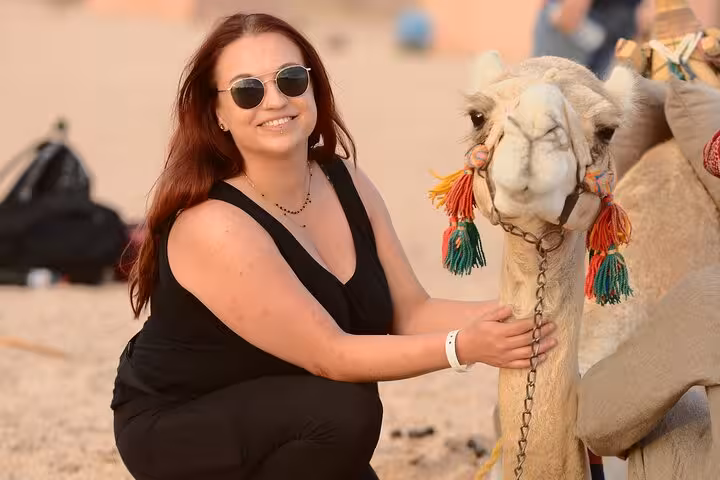 Traveler with decorated camel in Sharm El-Sheikh desert, part of camel riding tour with BBQ dinner and show