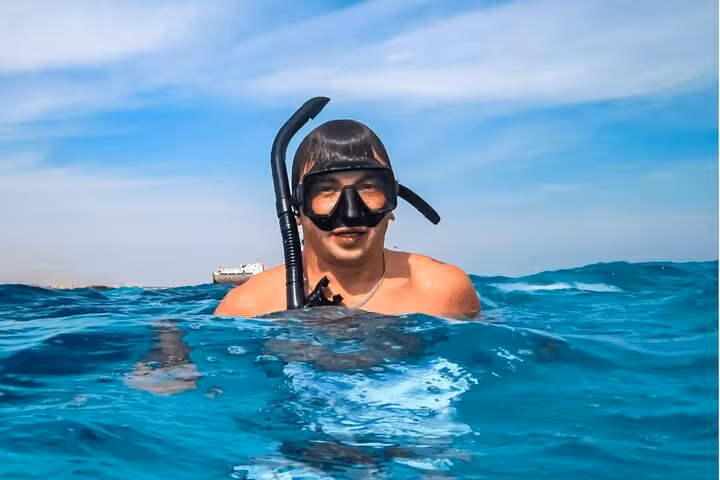 Snorkeler in Red Sea on Ras Mohamed & White Island trip from Sharm El-Sheikh, crystal-clear water