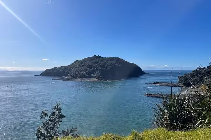 Scenic view of a lush green island surrounded by clear blue waters on the Sheep World Country Tour from Auckland.