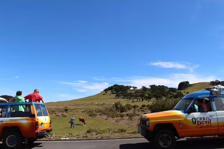 Tourists enjoy a scenic 4x4 adventure through lush landscapes during the Shore Excursion Northwest Terraces and Volcanic Pools.