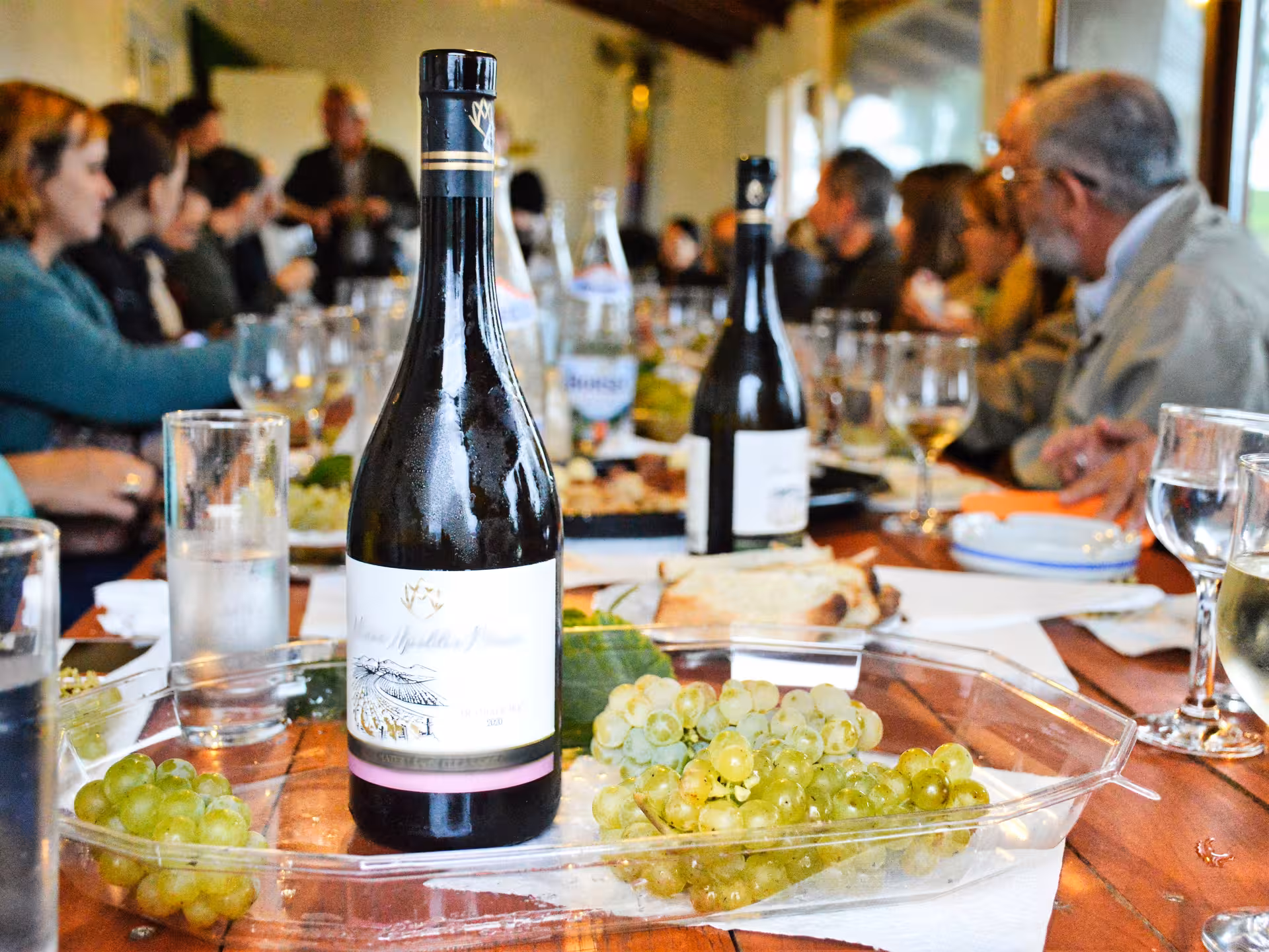 Wine bottle with green grapes on table during guided wine tasting event at a castle in Sibiu