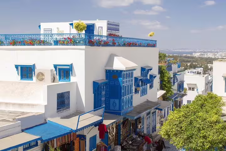 Discover the vibrant blue and white facades of Sidi Bou Said's traditional houses, adorned with colorful flowers, during your tour.