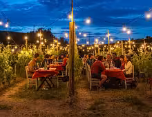 Outdoor dinner in a vineyard at dusk with string lights and guests seated at red-clothed tables