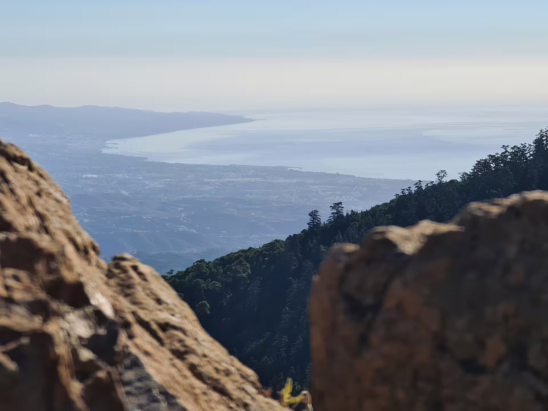 Scenic view from Sierra Bermeja's Bosque de Pinsapos hiking trail, overlooking lush forests and the distant coastline.