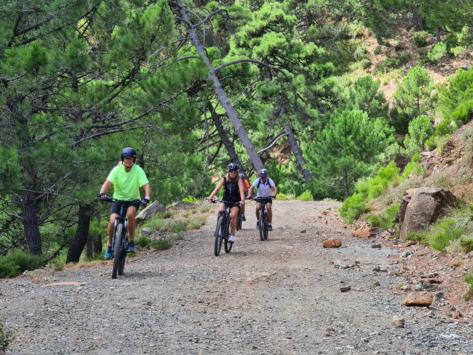 Group of e-bike riders exploring a scenic gravel trail through lush pine forests in Sierra Bermeja mountains