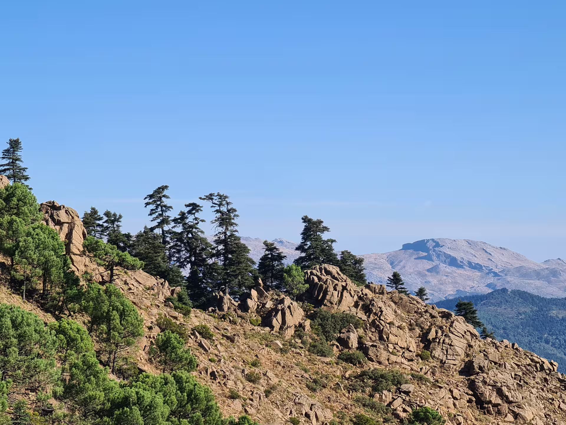 Scenic view of rugged Sierra Bermeja landscape with lush green pinsapo trees and distant mountains under a clear blue sky.