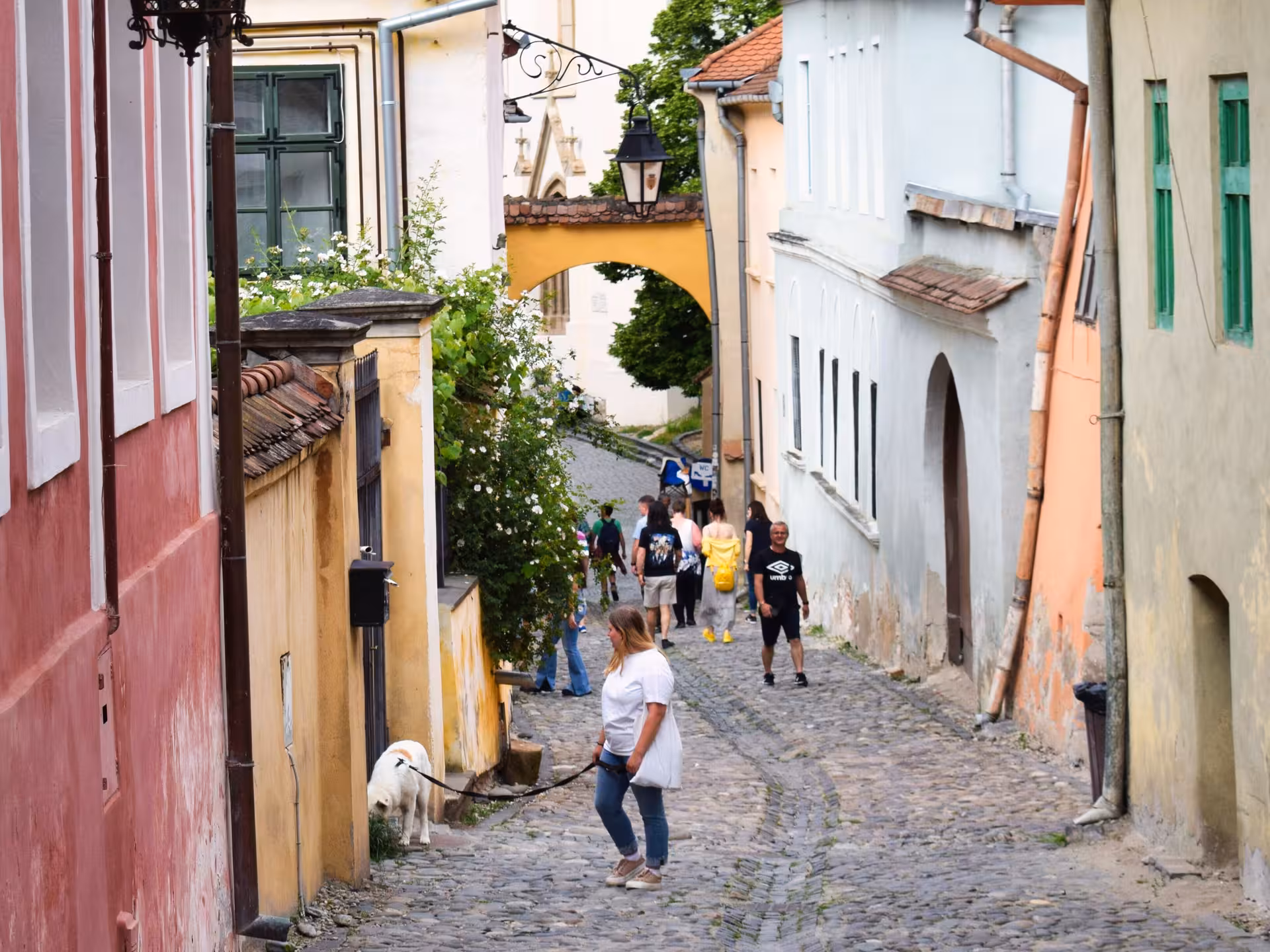 Cobblestone street in Sighisoara old town with colorful medieval buildings and tourists walking