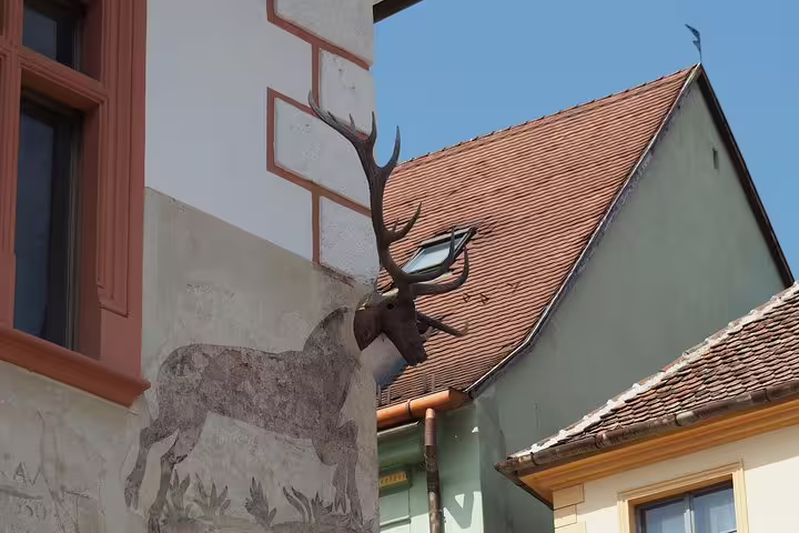 Deer head sculpture mounted on historic building wall with frescoes in Sighisoara old town