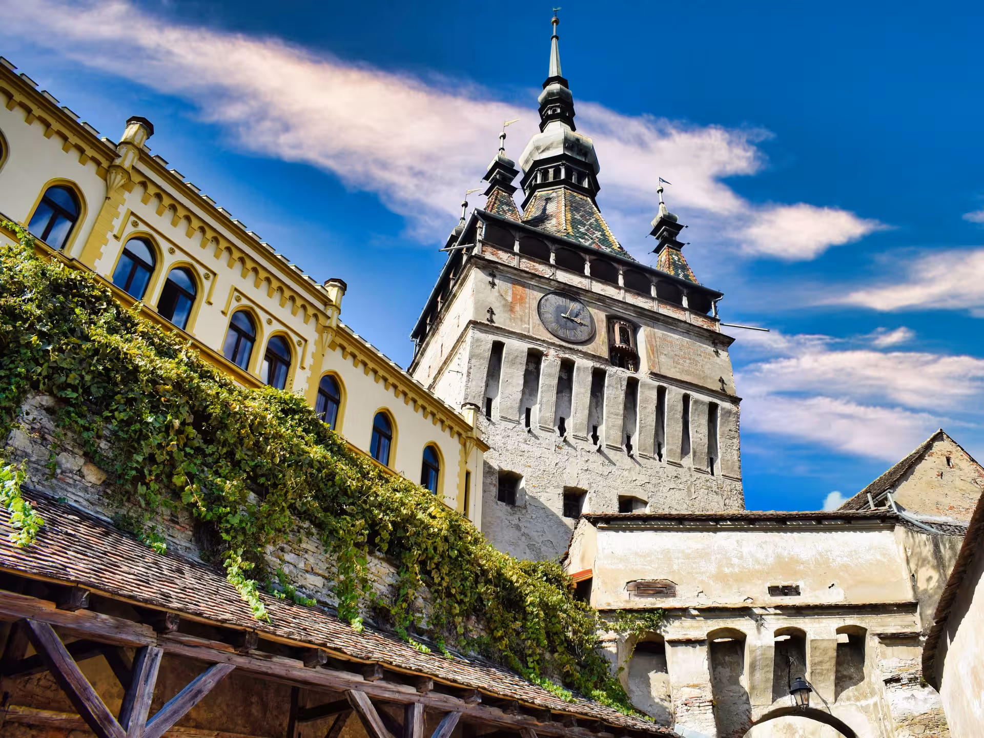 Medieval Clock Tower of Sighisoara rising above ivy-covered walls in a UNESCO Saxon town, Transylvania Romania.