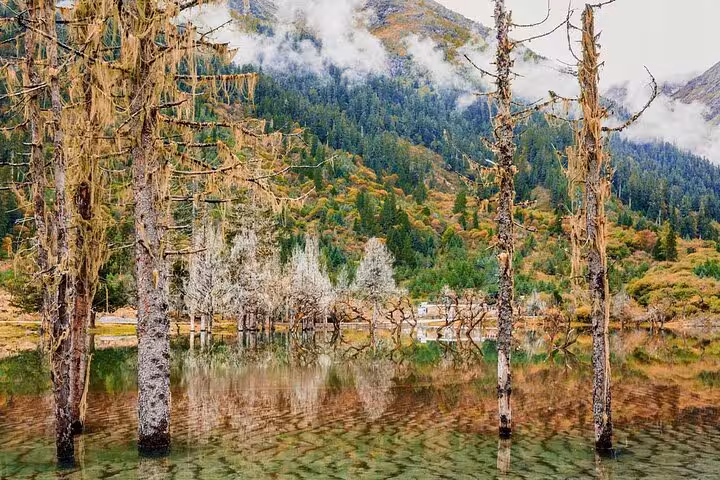 Tranquil Bipenggou landscape with reflective water, moss-covered trees, and vibrant forested hills under a cloudy sky.