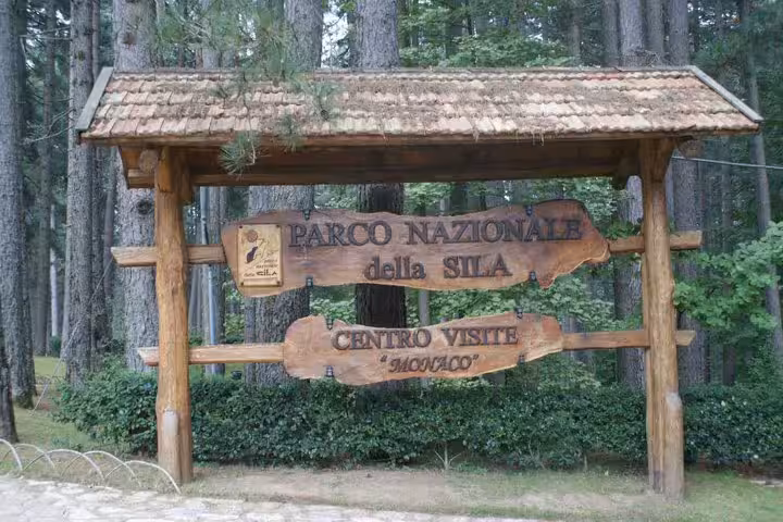 Rustic wooden entrance sign for Parco Nazionale della Sila visitor center surrounded by dense pine forest in Calabria, Italy