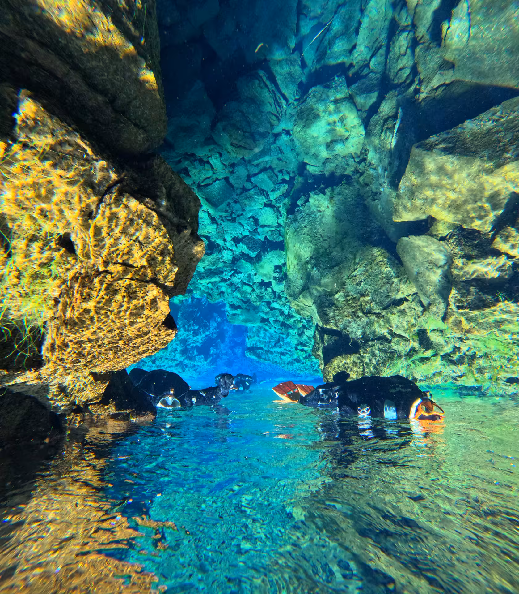 Snorkelers floating through the crystal-clear turquoise waters of Silfra fissure between volcanic rock walls