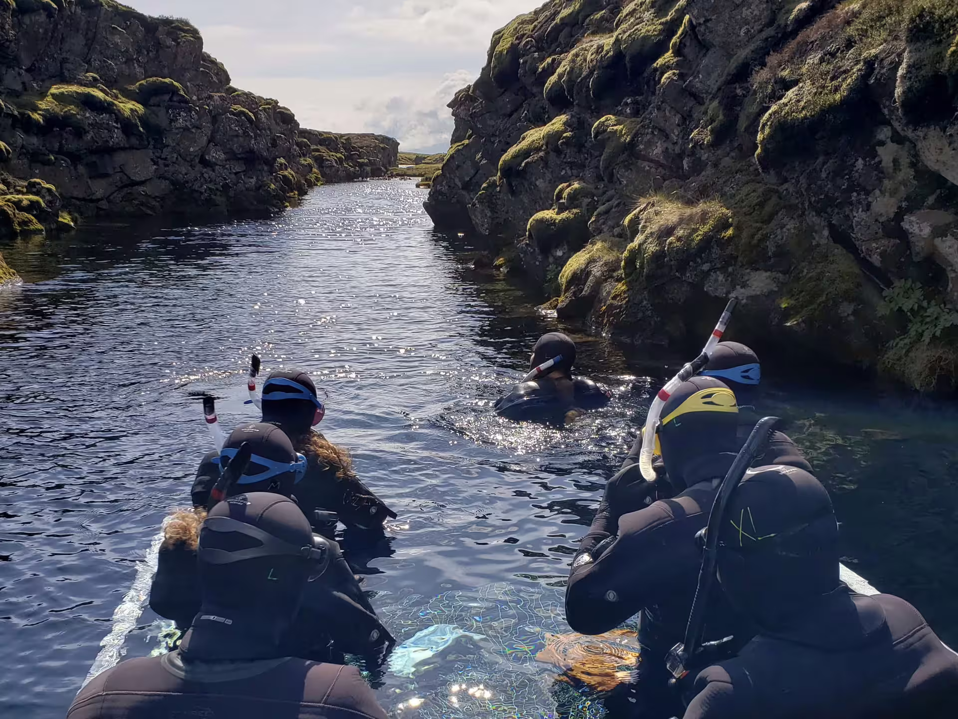 Four snorkelers in drysuits floating through Silfra fissure between moss-covered lava rock walls in Iceland