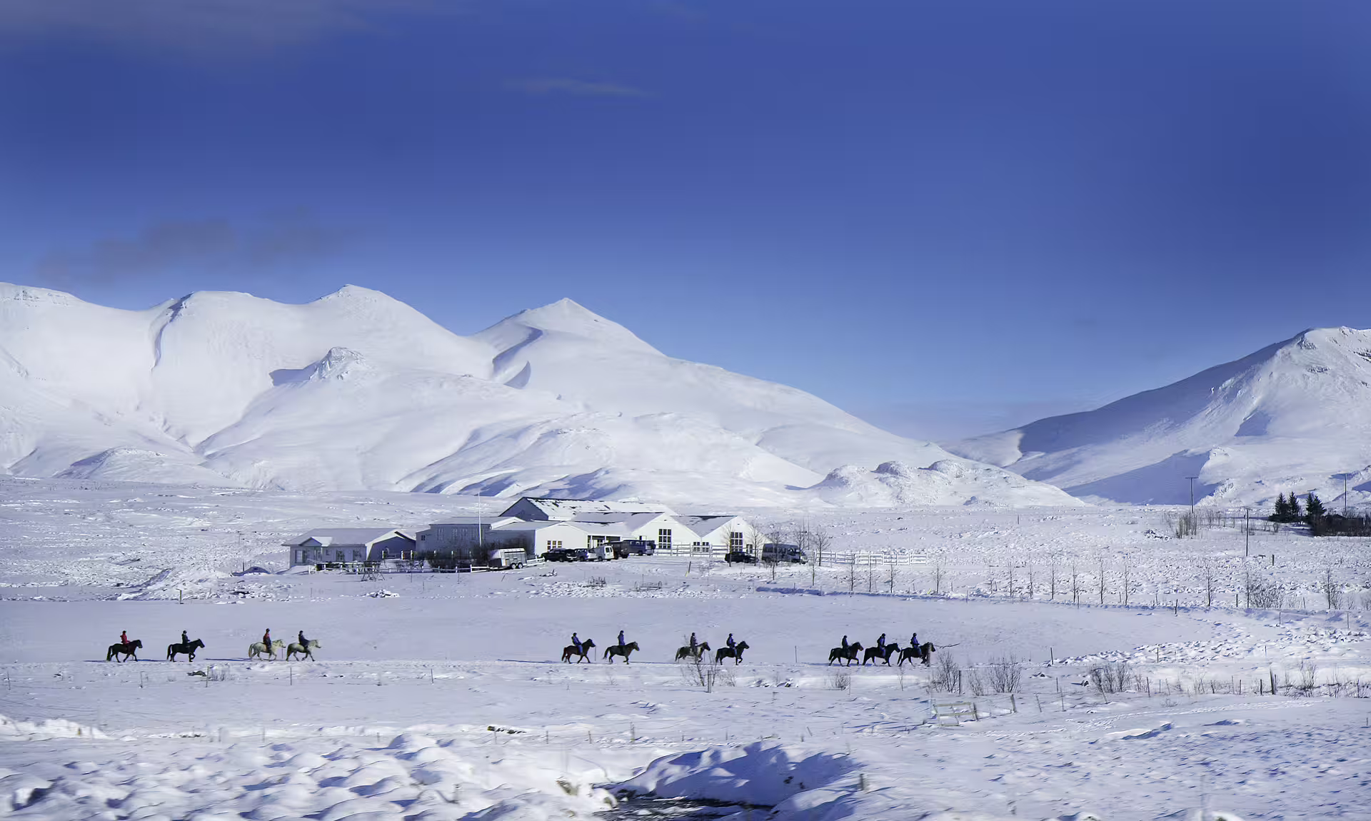 Riders on horseback traverse snowy Icelandic landscapes beneath majestic mountains, part of Silfra snorkeling and adventure tour.