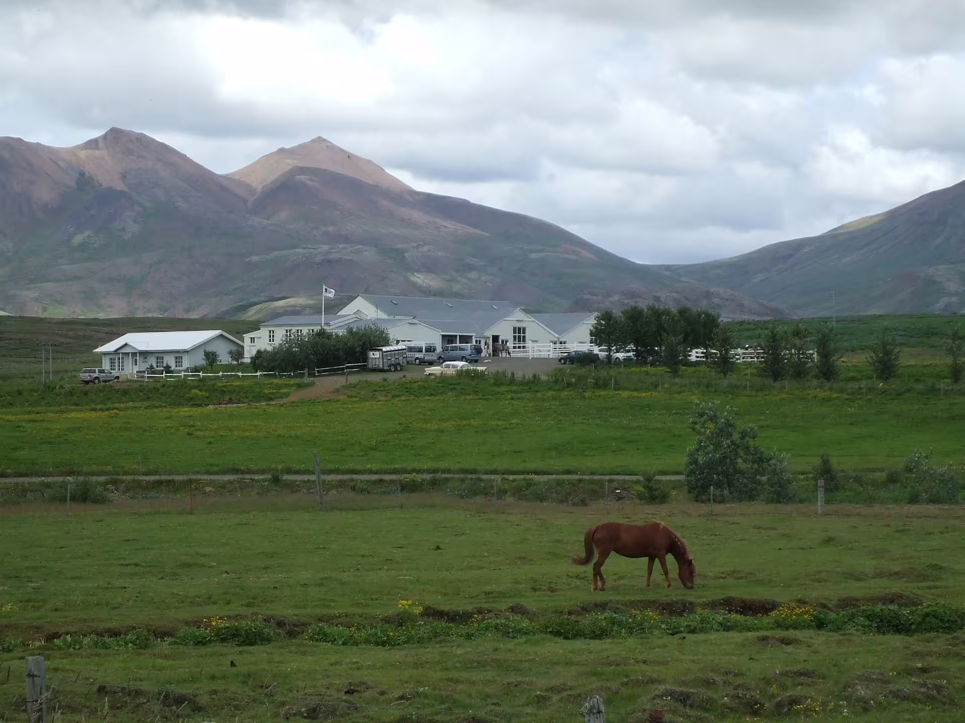 Scenic Icelandic countryside with a grazing horse, perfect for Silfra snorkeling and horseback riding adventure tours.