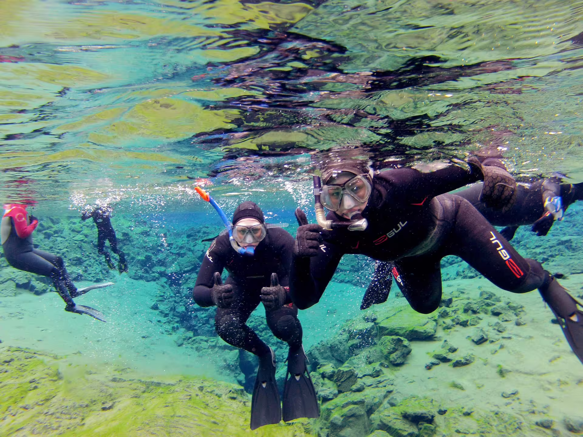 Snorkelers explore the crystal-clear waters of Silfra Fissure in Iceland, showcasing vibrant underwater scenery on a Golden Circle tour.