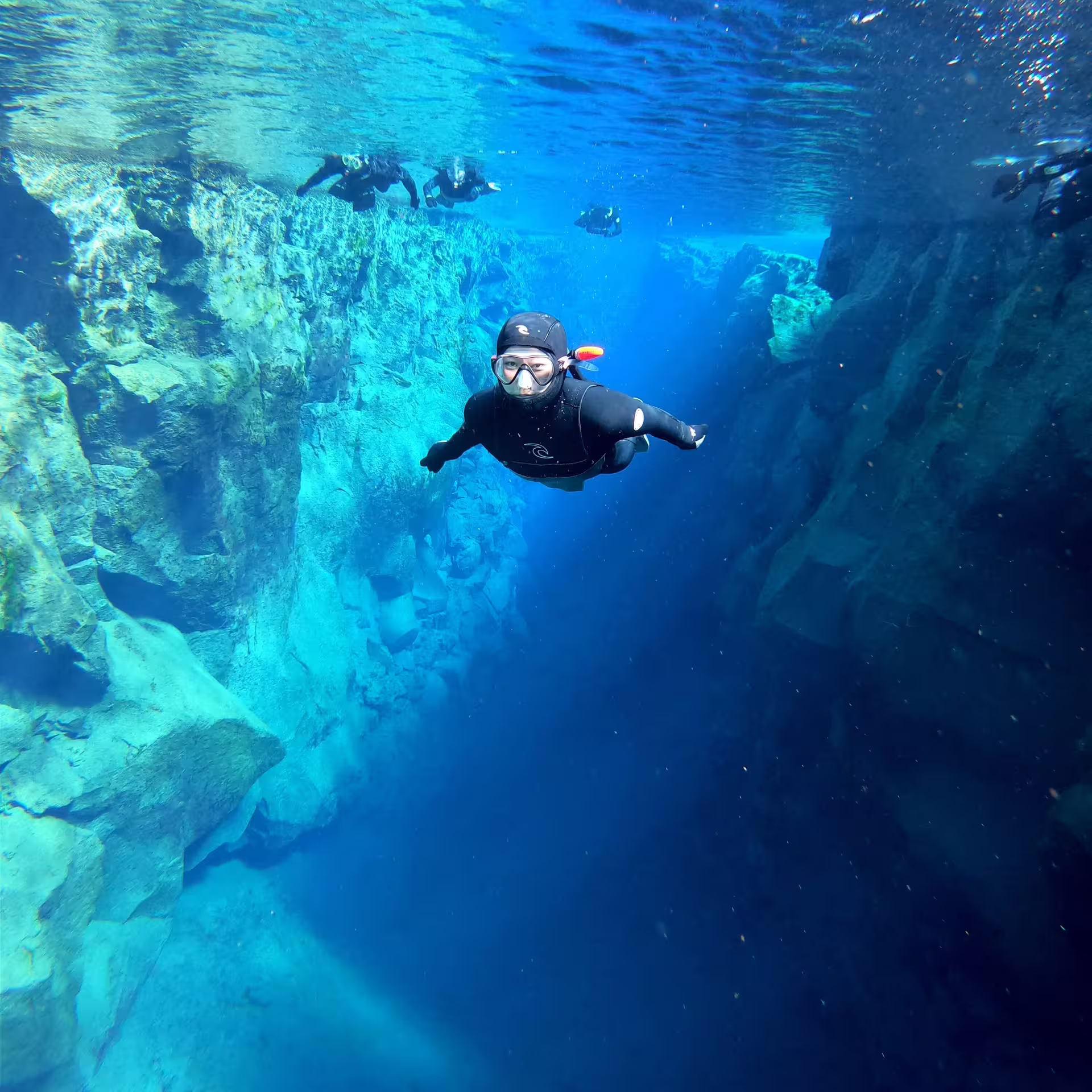 Snorkeler explores Silfra's crystal-clear waters between tectonic plates in Iceland, part of a unique snorkeling and horseback tour.