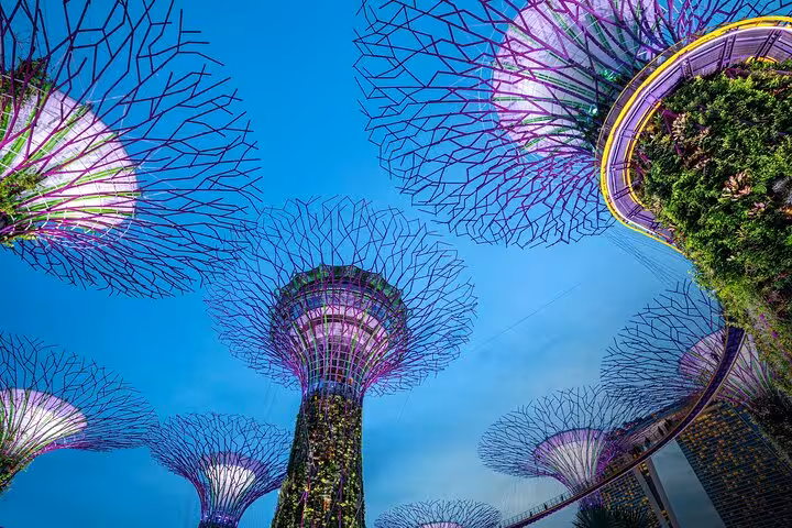 Experience the mesmerizing Spectra Light Show with vibrant water displays in Singapore's Night Extravaganza Cruise.