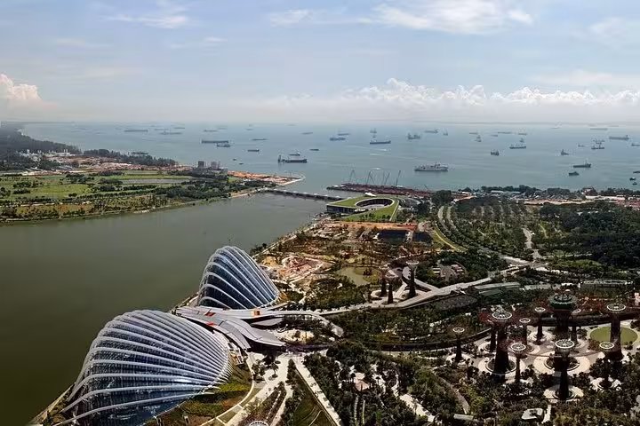 Aerial view of Gardens by the Bay with Supertrees and Marina Bay on Singapore private car tour