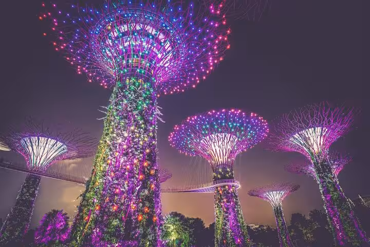 Dazzling Supertree Grove lights up Gardens by the Bay, a highlight of the Singapore Crazy Rich Asians tour.