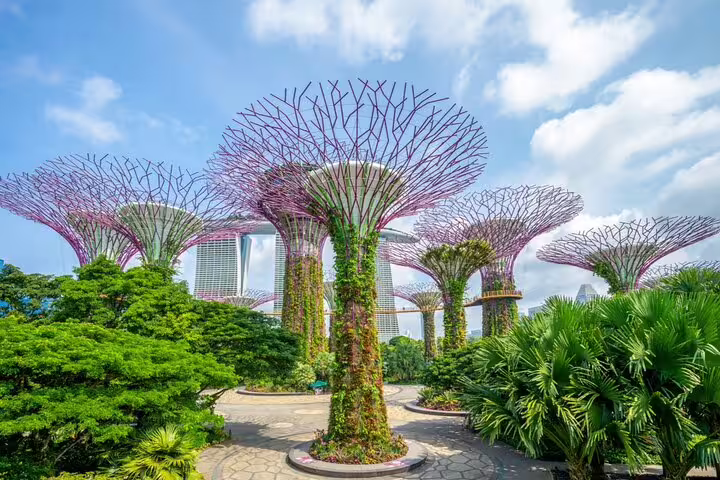Supertree Grove structures at Gardens by the Bay, Singapore, surrounded by tropical greenery