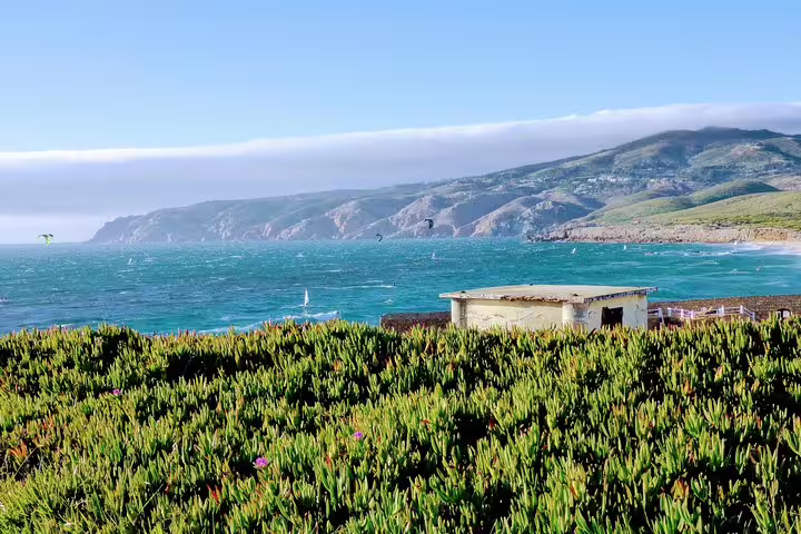 Scenic coastal view of lush greenery and rugged cliffs overlooking the Atlantic Ocean on a Sintra and Cascais luxury tour.