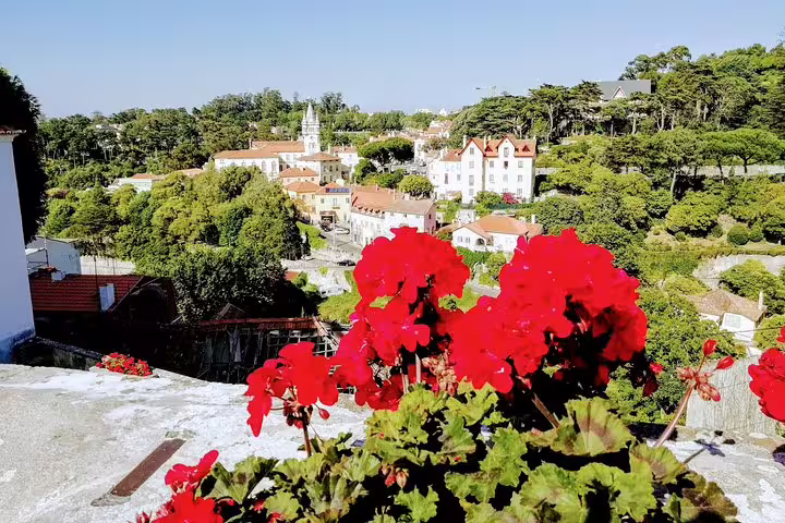 Scenic view of Sintra with vibrant red flowers in the foreground, showcasing historic architecture and lush greenery on the tour.