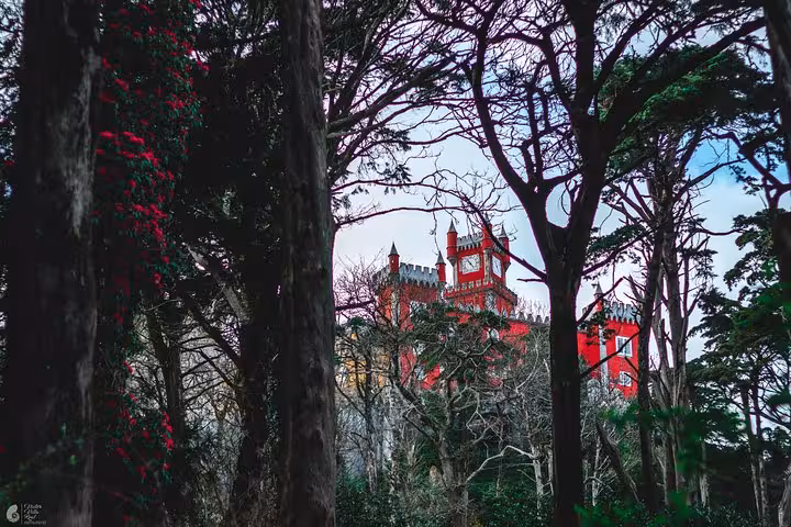 Palacio Nacional de Sintra glimpsed through forest trees, a scenic stop on a Sintra self-drive monuments tour