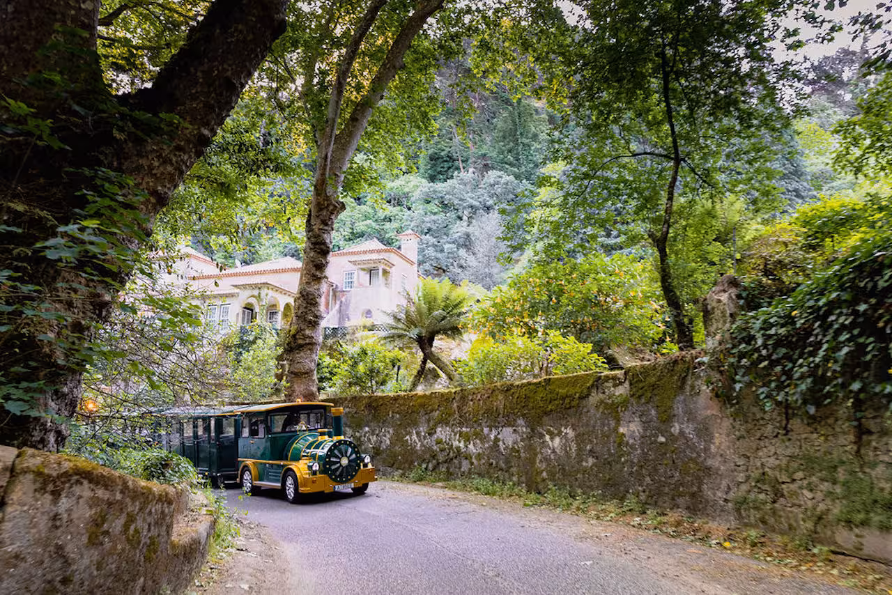 Sintra guided tour tram passing through lush forest road near historic palaces and gardens in Portugal
