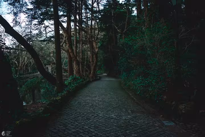 Cobbled forest road in Sintra, scenic drive route for self-drive tour to all monuments in Portugal