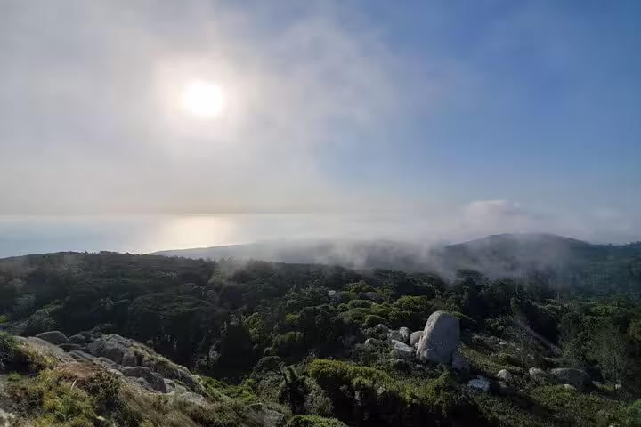 Scenic view of Sintra's lush green hills and coastline under a bright sun, perfect for a Cape Roca small-group tour.