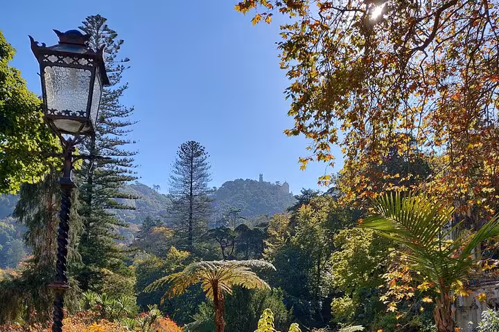 Scenic view of Sintra's lush landscape with distant Pena Palace under a clear blue sky, perfect for a half-day tour.