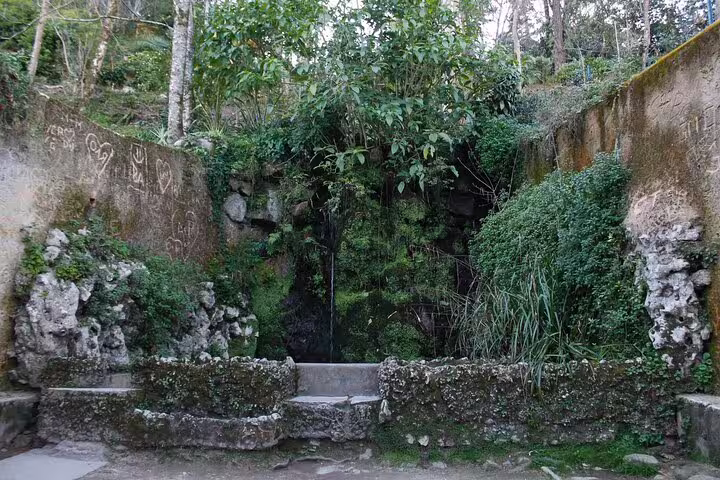 Lush greenery and ancient stone walls at a serene spot in Sintra, part of a scenic day trip from Lisbon to Pena Palace and Cascais.