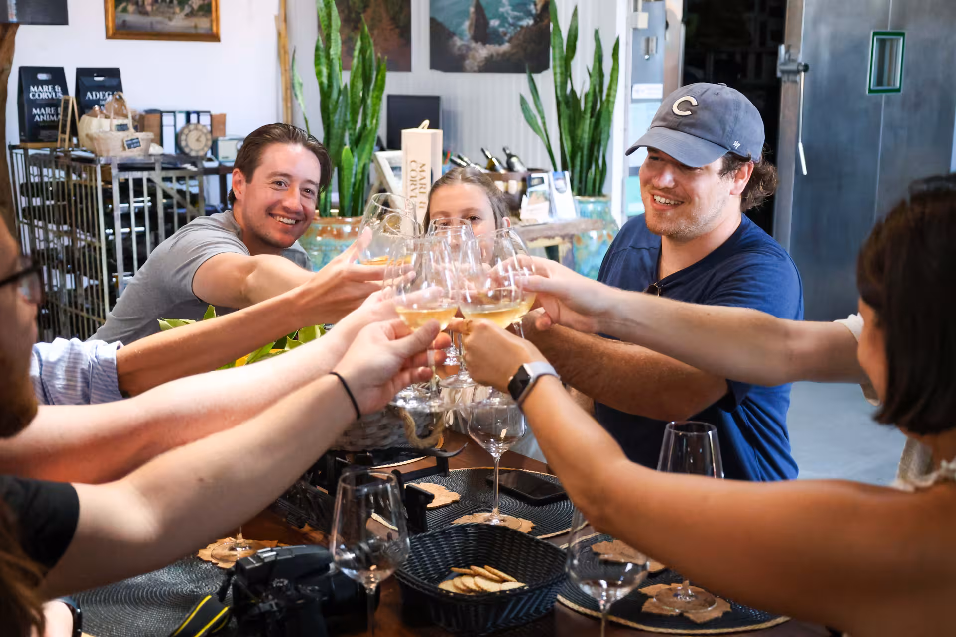 Group of friends toasting with wine glasses during a wine tasting experience on a Sintra tour.