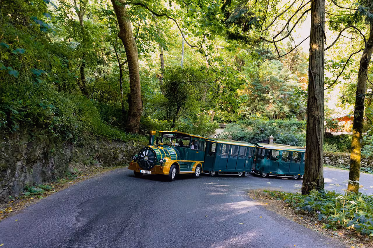 Sintra road train winding through lush woodland, guided Sintra tour experience connecting to famous landmarks and views
