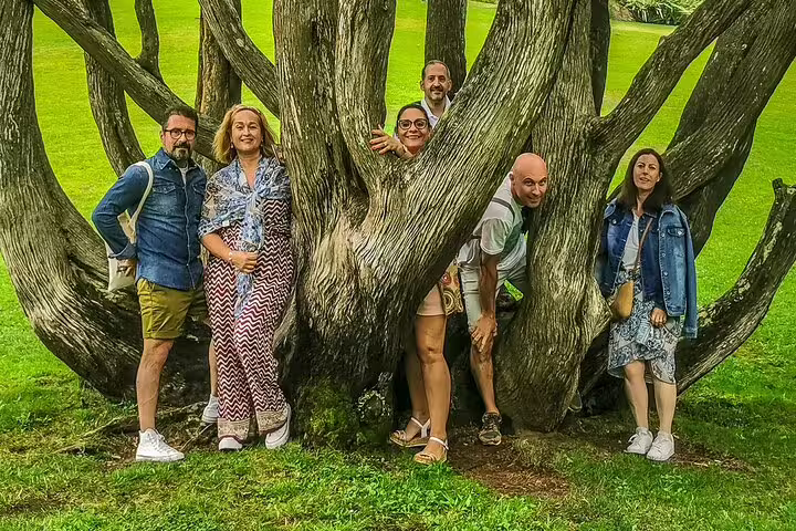 Tourists enjoy a picturesque moment around a unique tree during the Sintra, Roca, and Cascais full-day private tour.