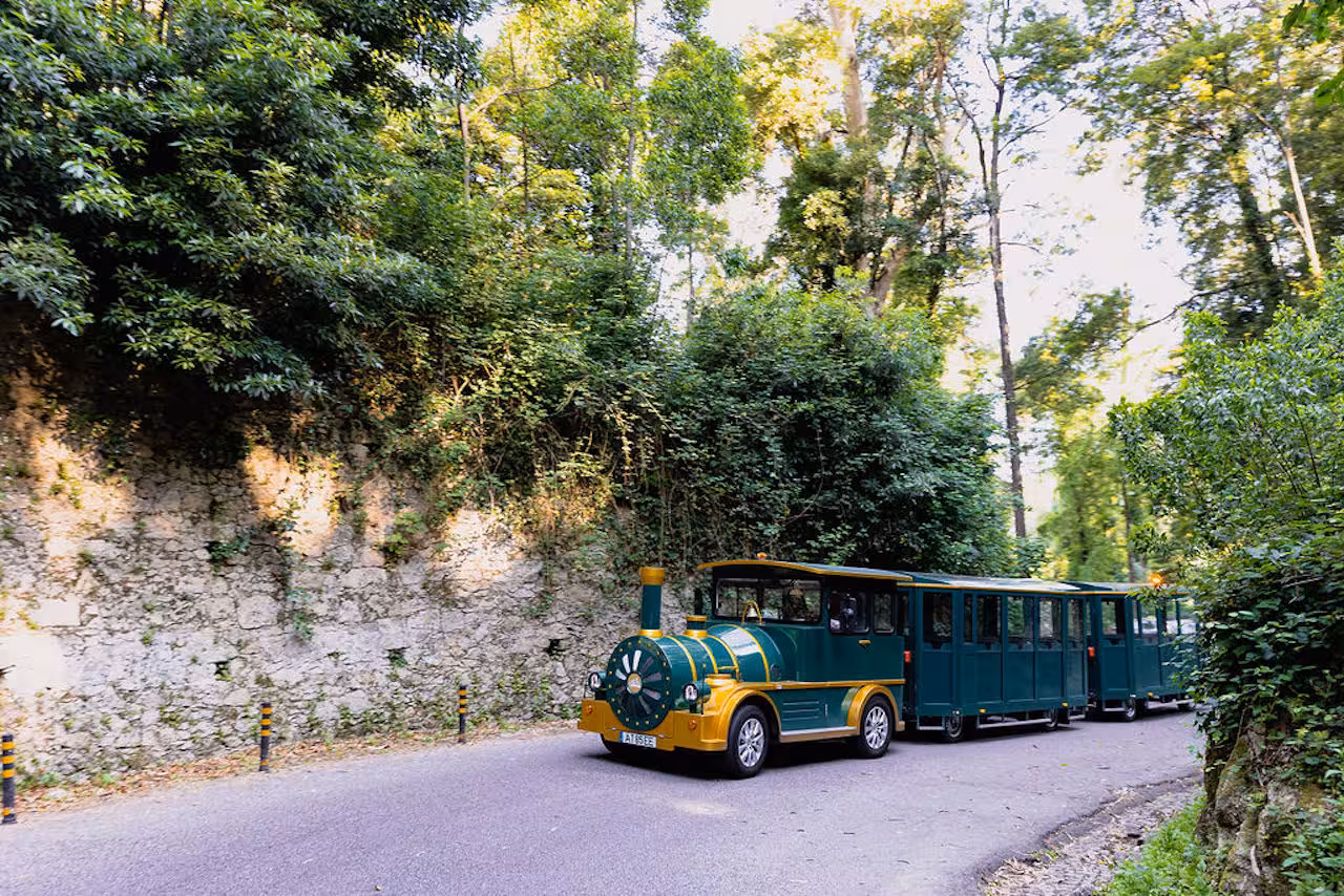 Green Sintra sightseeing train passing stone walls in Sintra hills, guided tour ride to iconic palaces and gardens