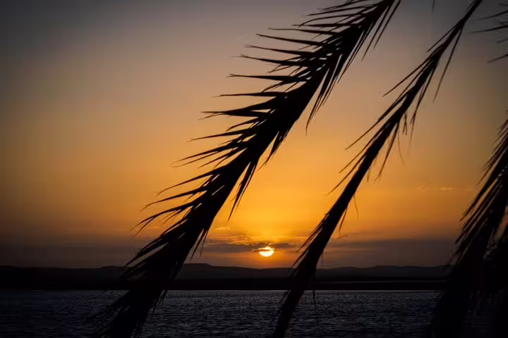 Sunset over Siwa Oasis salt lake framed by palm leaves, highlight of a 4-day private tour from Cairo