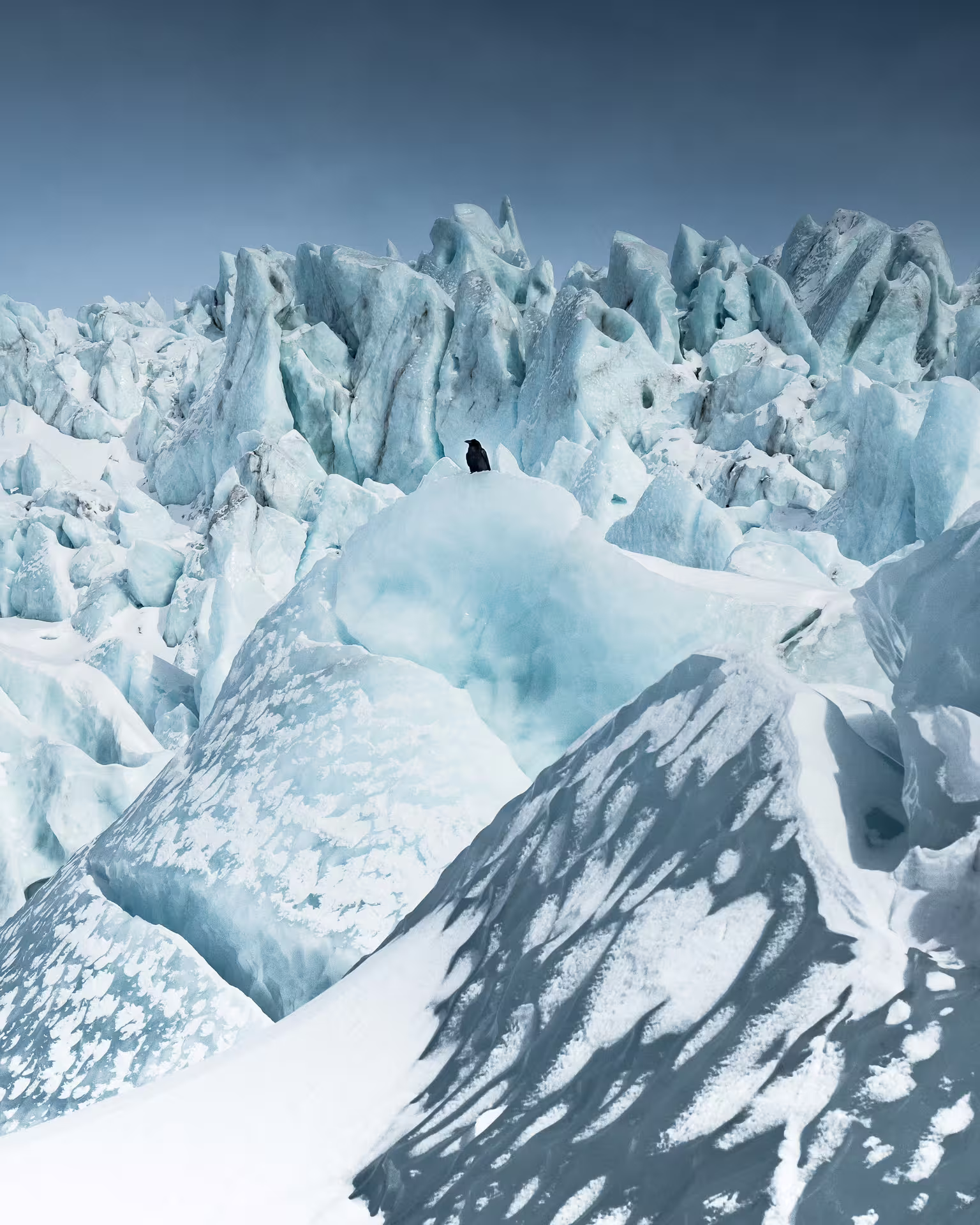 Lone black bird perched on jagged blue ice formations on Skaftafell glacier under clear sky