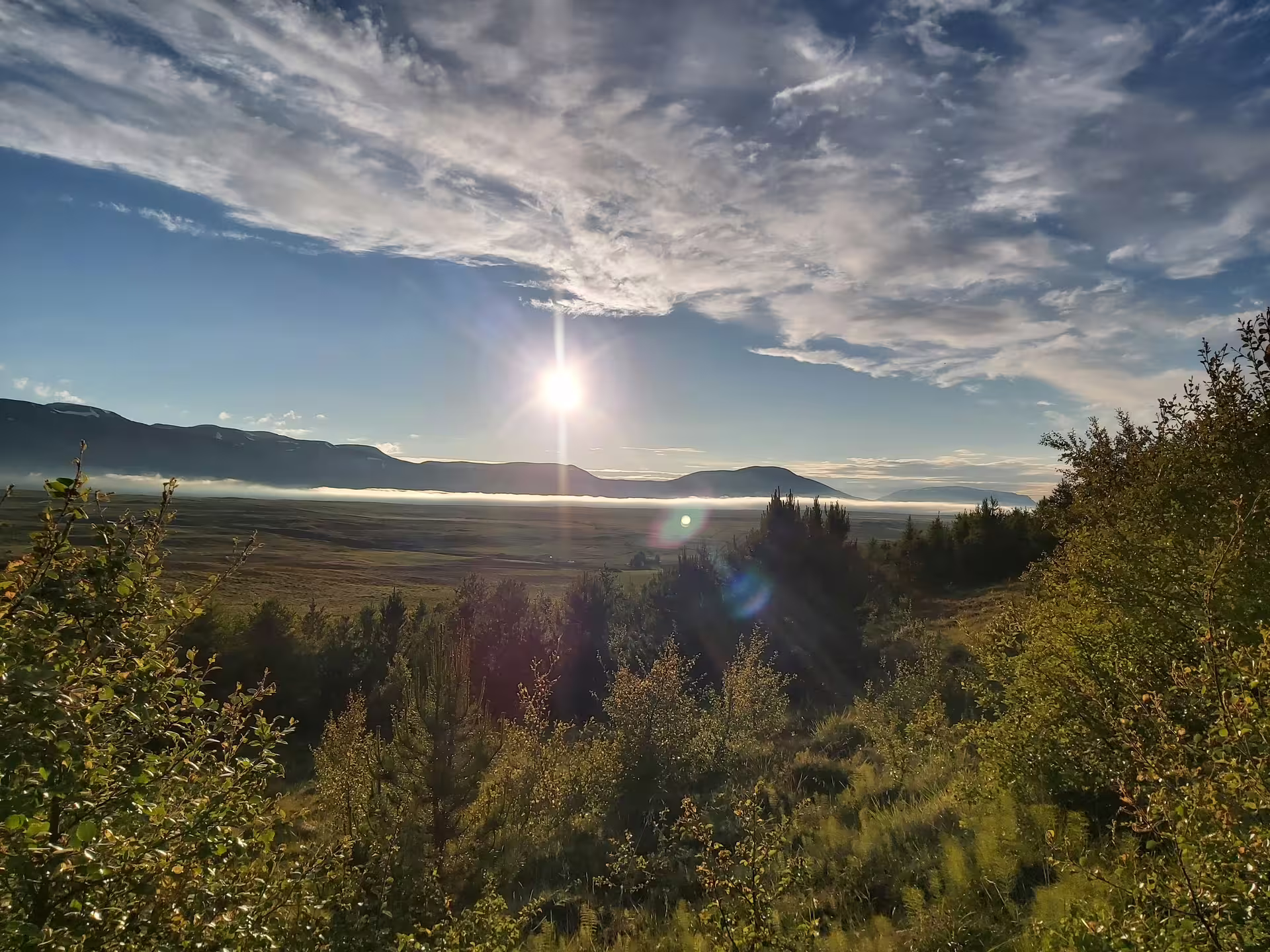 Panoramic sunrise view over Skagafjordur valley with low fog, green shrubs, and distant mountains in Iceland