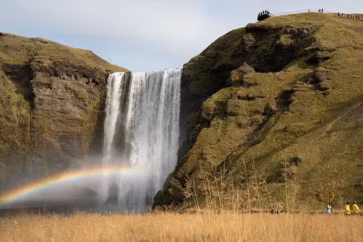 Skógafoss waterfall with rainbow over golden grass fields in South Iceland