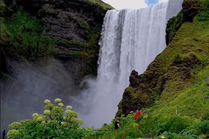 Skógafoss waterfall cascading down mossy cliffs with wildflowers and visitors on Iceland's South Coast