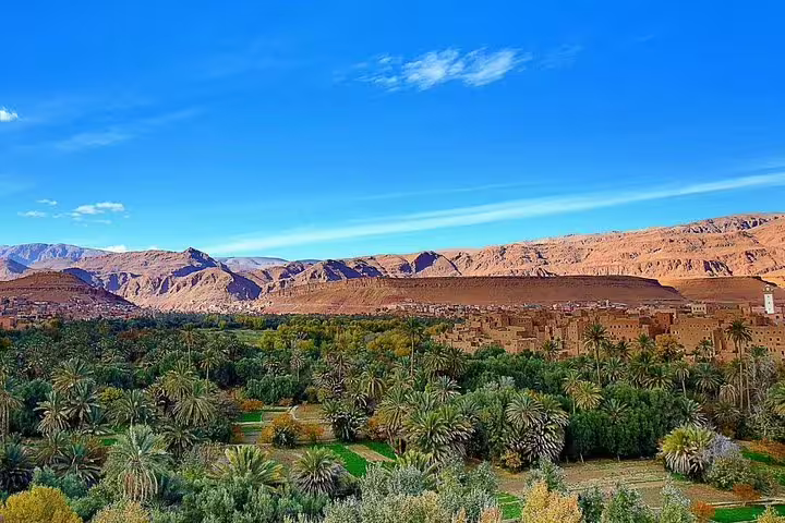 Lush Skoura palm oasis with Atlas Mountains backdrop, highlight of Morocco best 8 days tour from Tangier
