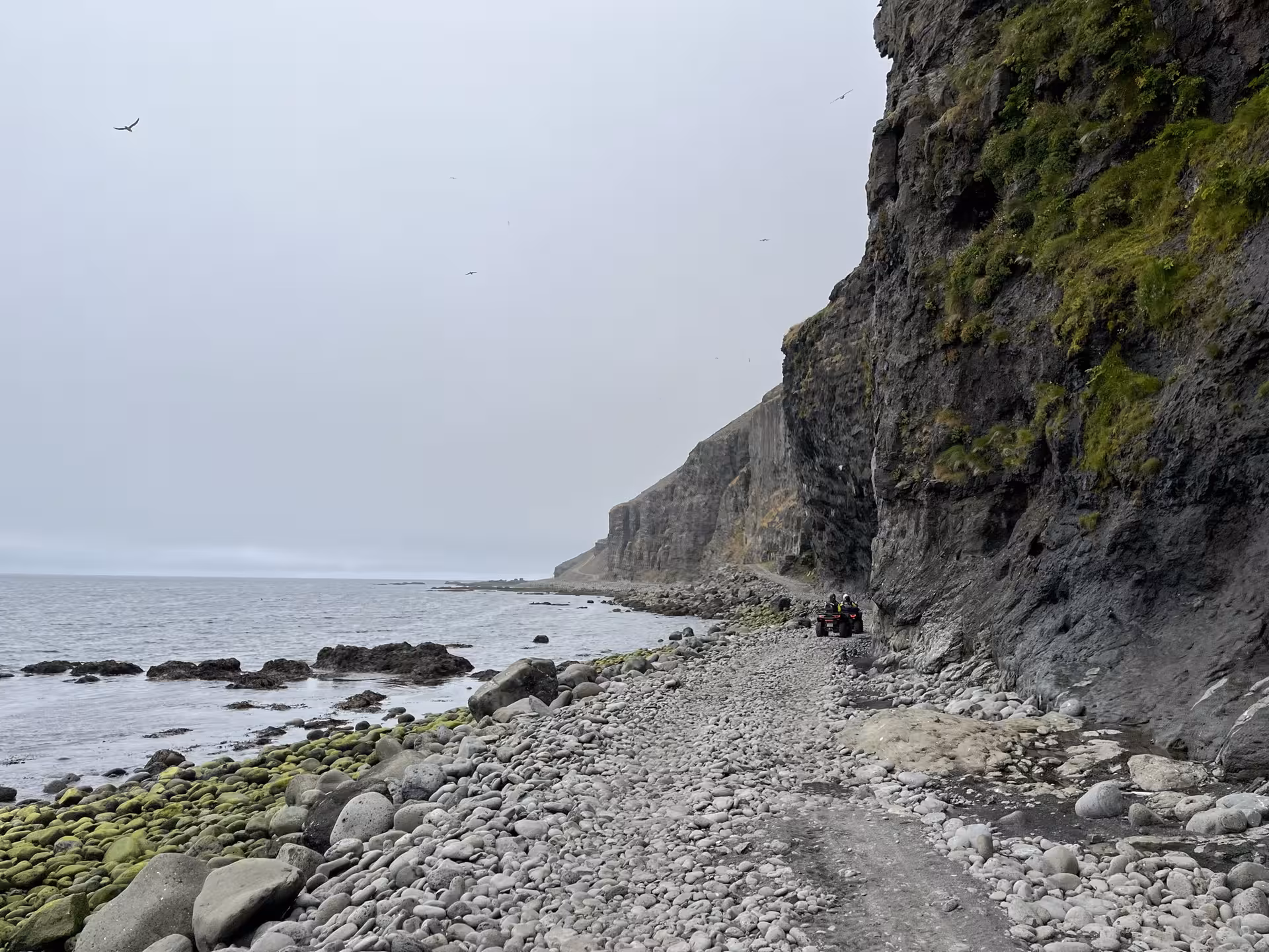 Scenic view of rocky coastal trail in Sléttanes, Svalvogar, perfect for adventure tours and nature exploration.