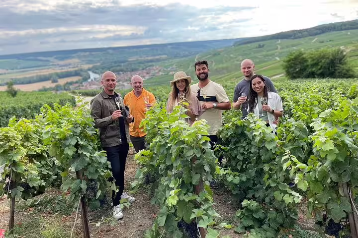 Small-group Champagne vineyard tour from Paris with tastings, travelers holding flutes among vines in Reims region