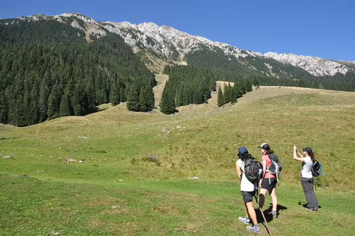 Three hikers with backpacks trekking through green alpine meadow with forested mountains near Brasov