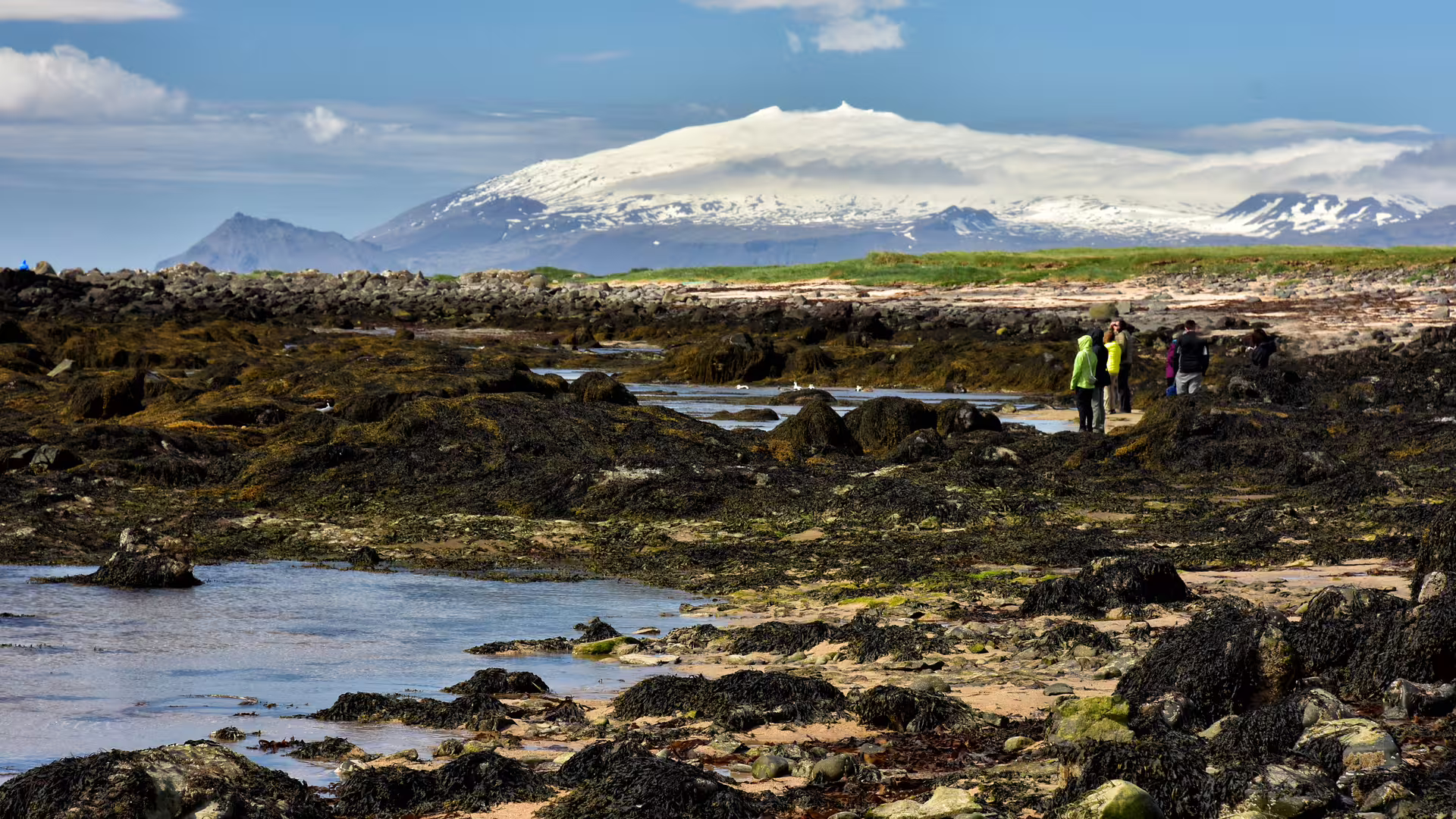 Visitors exploring black sand beach with Snæfellsjökull glacier volcano in background, Iceland