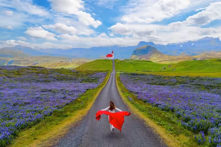 Woman in red cape walking road through purple lupine fields toward white church in Snaefellsnes Iceland