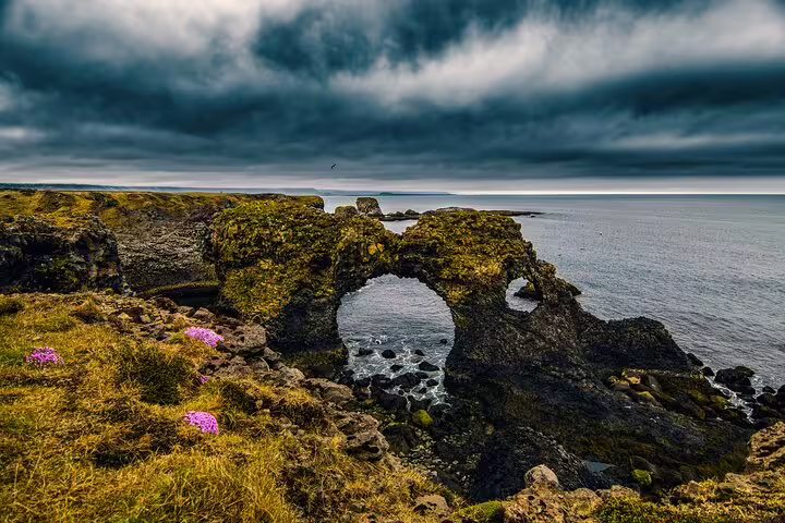 Mossy rock arch on Snaefellsnes Peninsula coastline with dramatic storm clouds and pink wildflowers